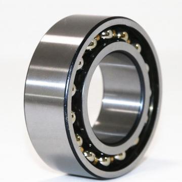 NACHI NN3020K precision bearings