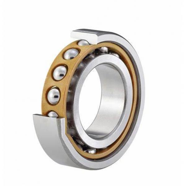 NACHI NNU4960K precision bearings #1 image