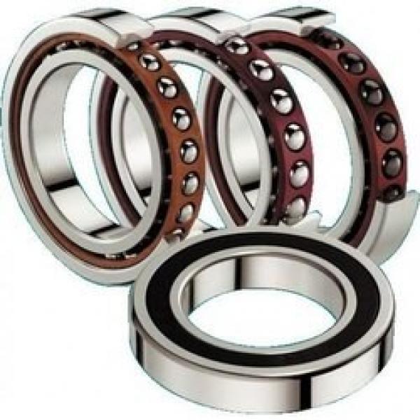 FAG N1013K.M1.SP precision roller bearings #1 image
